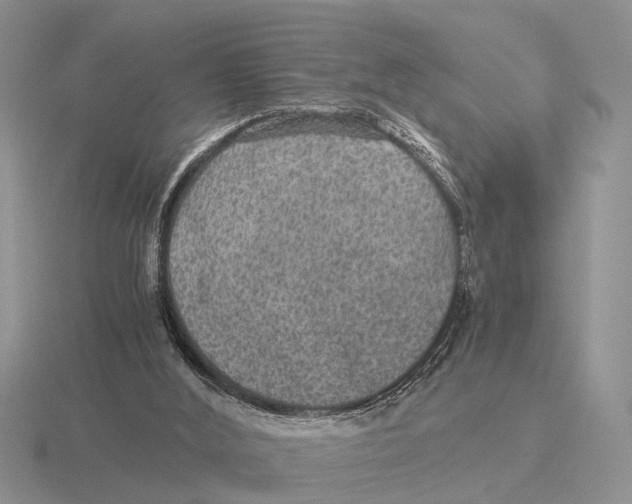 X0000116000012200912170959