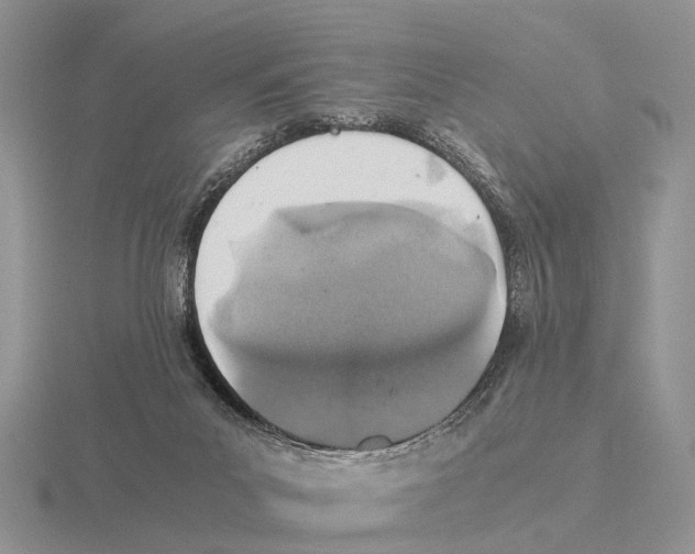 X0000116000023200912170959