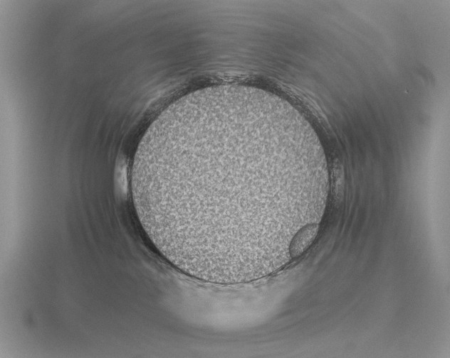 X0000116000042200912170959