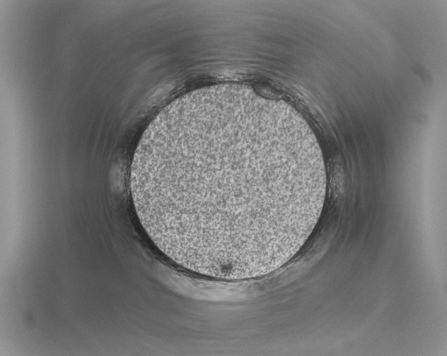 X0000116000044200912170959