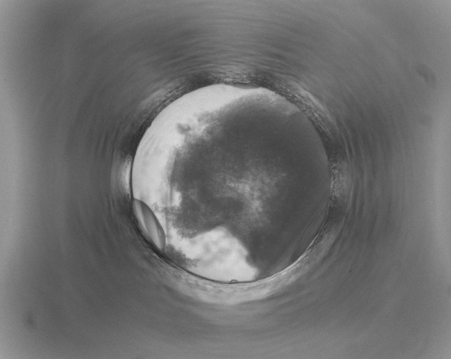 X0000116000047200912170959