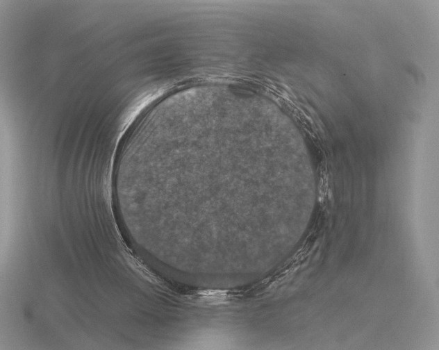 X0000116000052200912170958