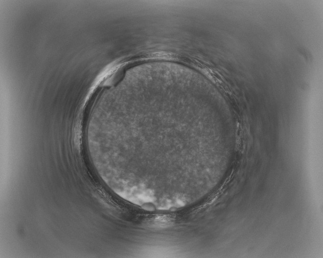 X0000116000056200912170958