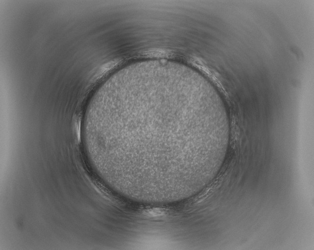 X0000116000062200912170959