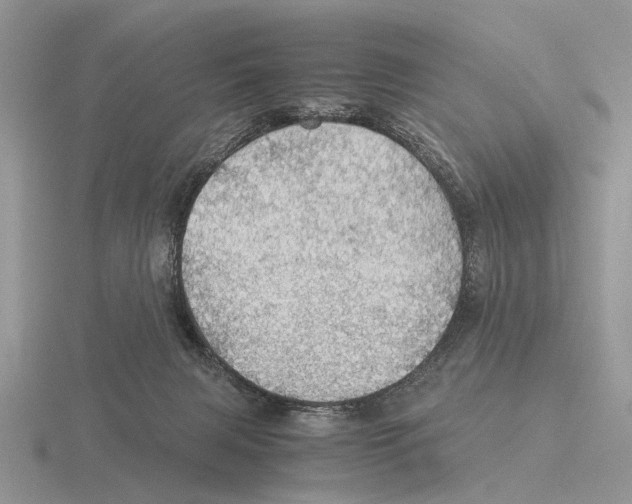 X0000116000079200912170959