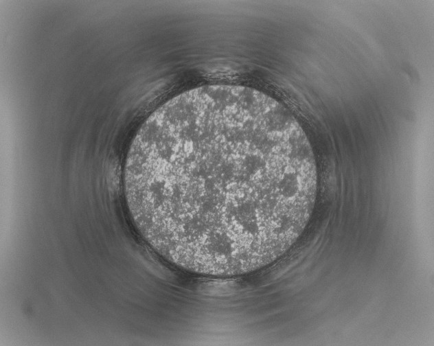 X0000116000081200912170959
