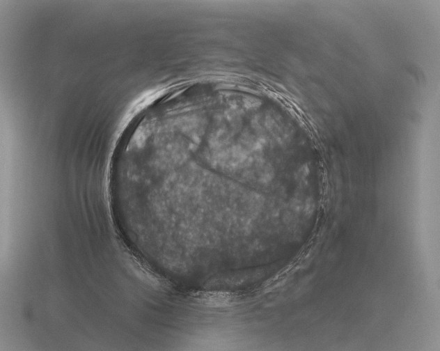 X0000116000104200912170958