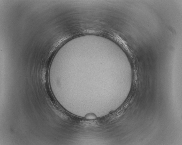 X0000116000106200912170958