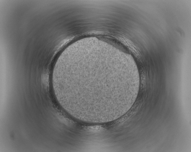 X0000116000112200912170958