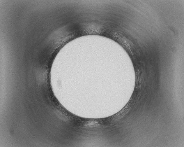 X0000116000162200912170957