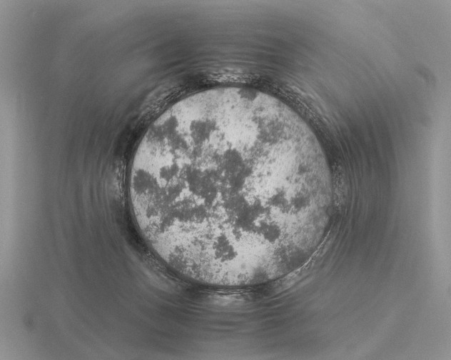 X0000116000175200912170957