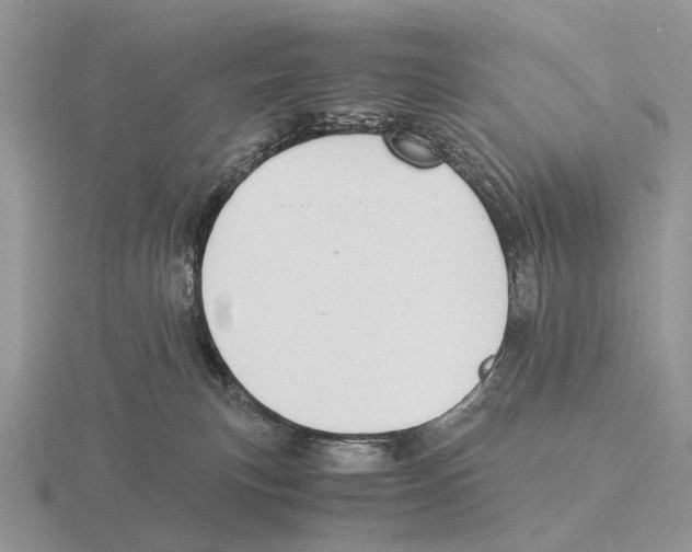 X0000116000183200912170958