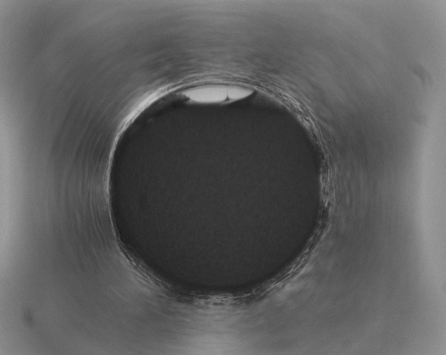 X0000116000196200912170957