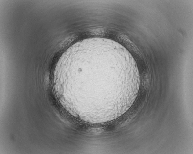 X0000116000213200912170957
