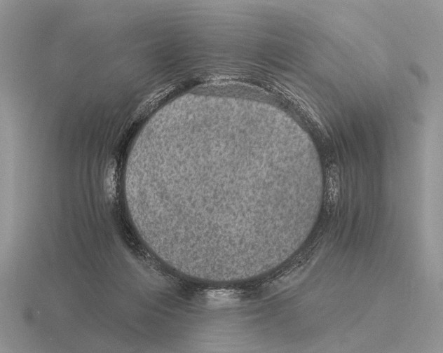 X0000116000216200912170957