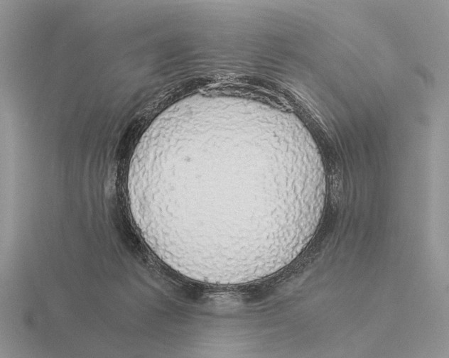 X0000116000221200912170957