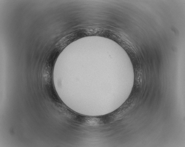 X0000116000226200912170957
