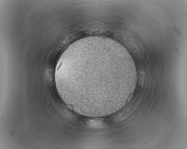 X0000116000232200912170956
