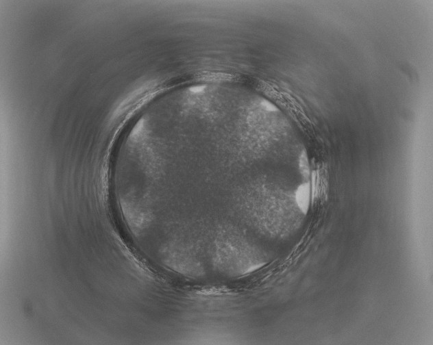 X0000116000243200912170956