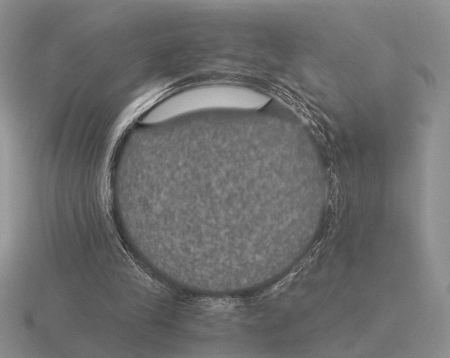 X0000116000245200912170956