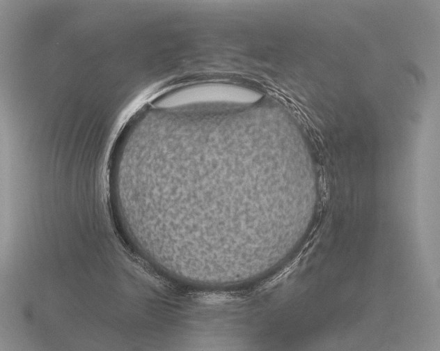 X0000116000246200912170956