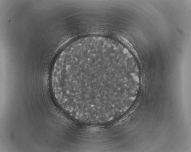 X0000116000249200912170956