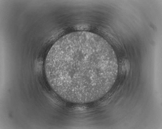 X0000116000263200912170956