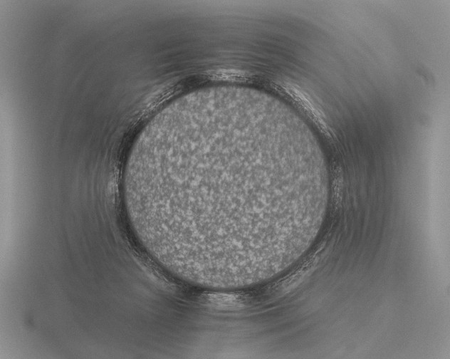 X0000116000265200912170956