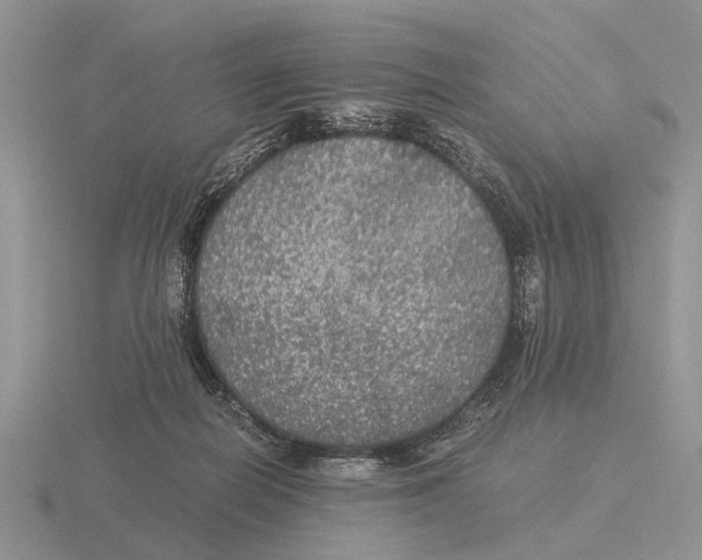 X0000116000266200912170956