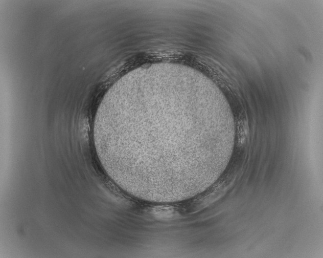 X0000116000279200912170956