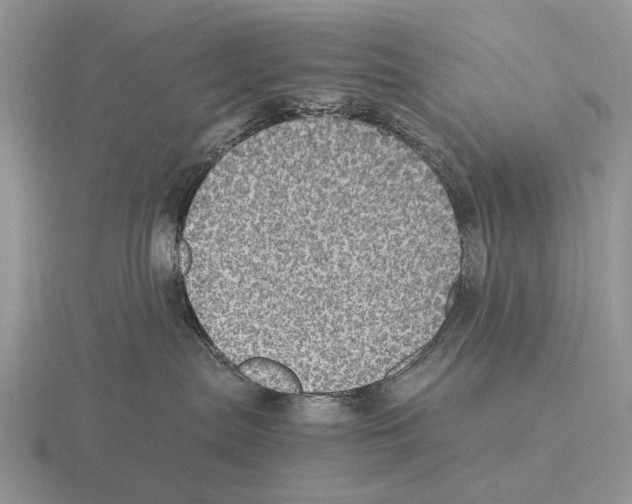 X0000116000287200912170956