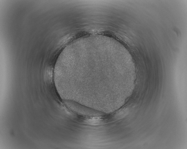 X0000116000288200912170956