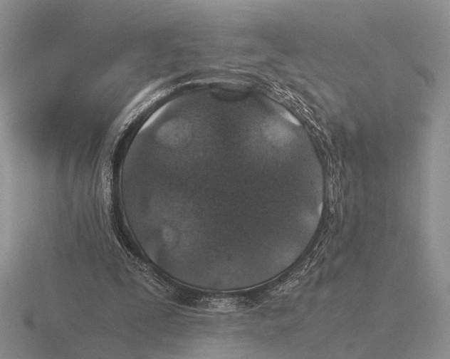 X0000116000295200912170956