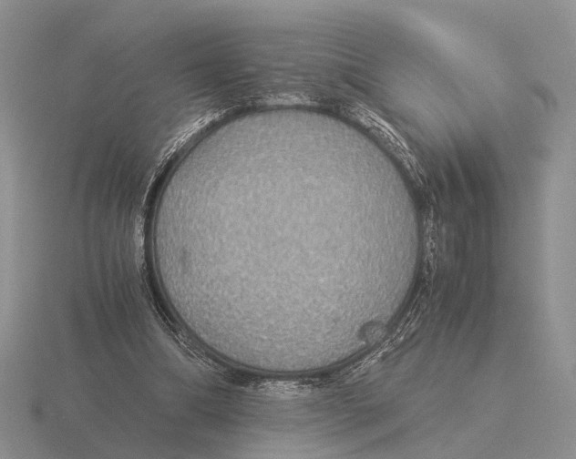 X0000116000298200912170956