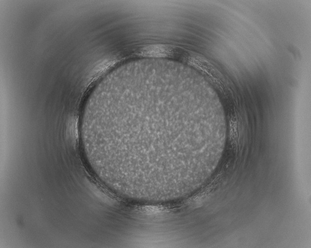 X0000116000302200912170956