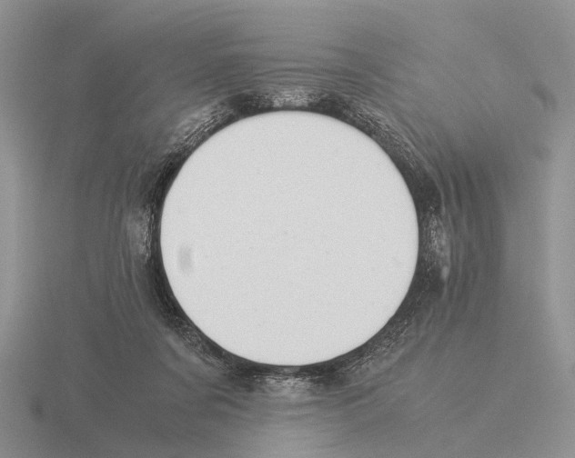 X0000116000311200912170955