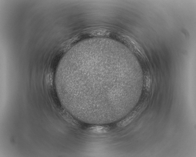 X0000116000326200912170955