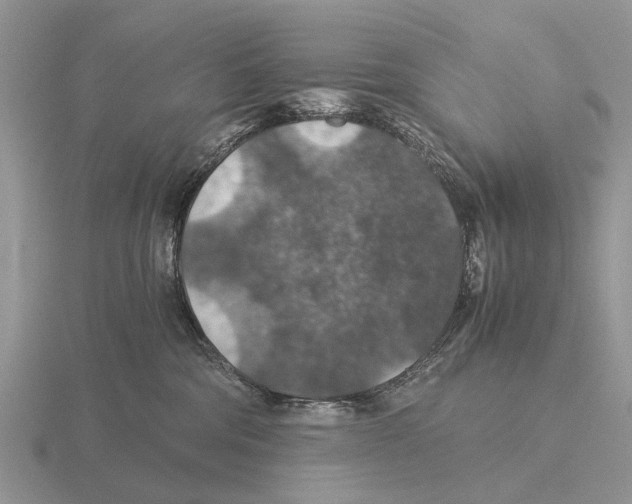 X0000116000330200912170955