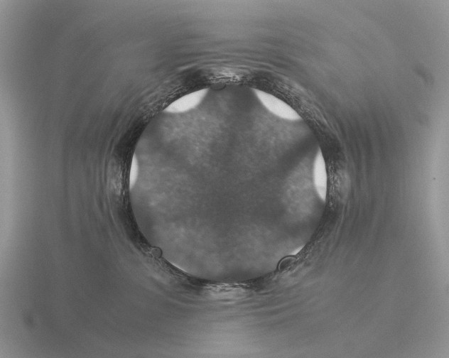 X0000116000331200912170955