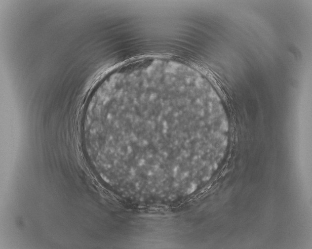 X0000116000337200912170954