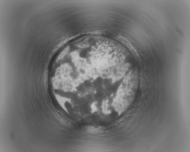 X0000116000346200912170955