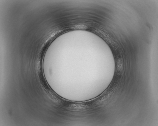X0000116000351200912170955