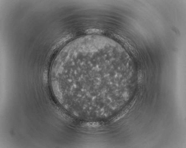 X0000116000353200912170955