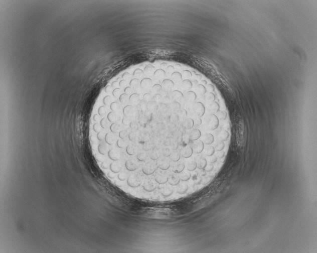 X0000116000366200912170955