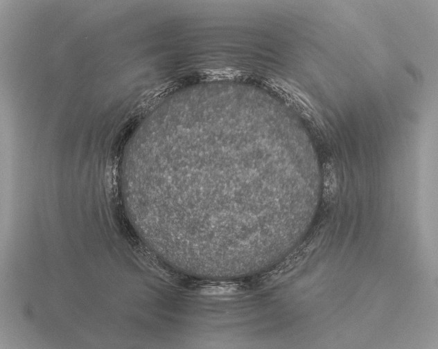 X0000116000369200912170955