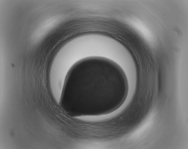 X0000116000387200912170954