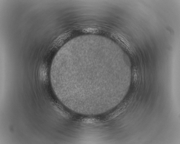 X0000116000408200912170954