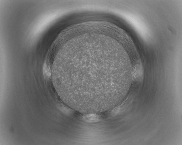 X0000116000431200912170954