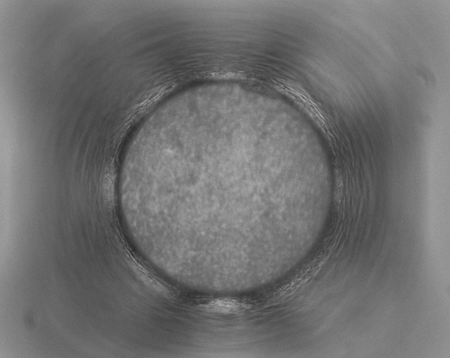 X0000116000441200912170953