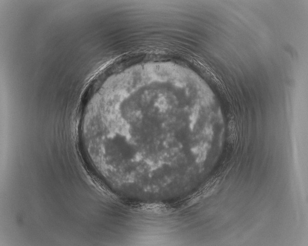 X0000116000446200912170953